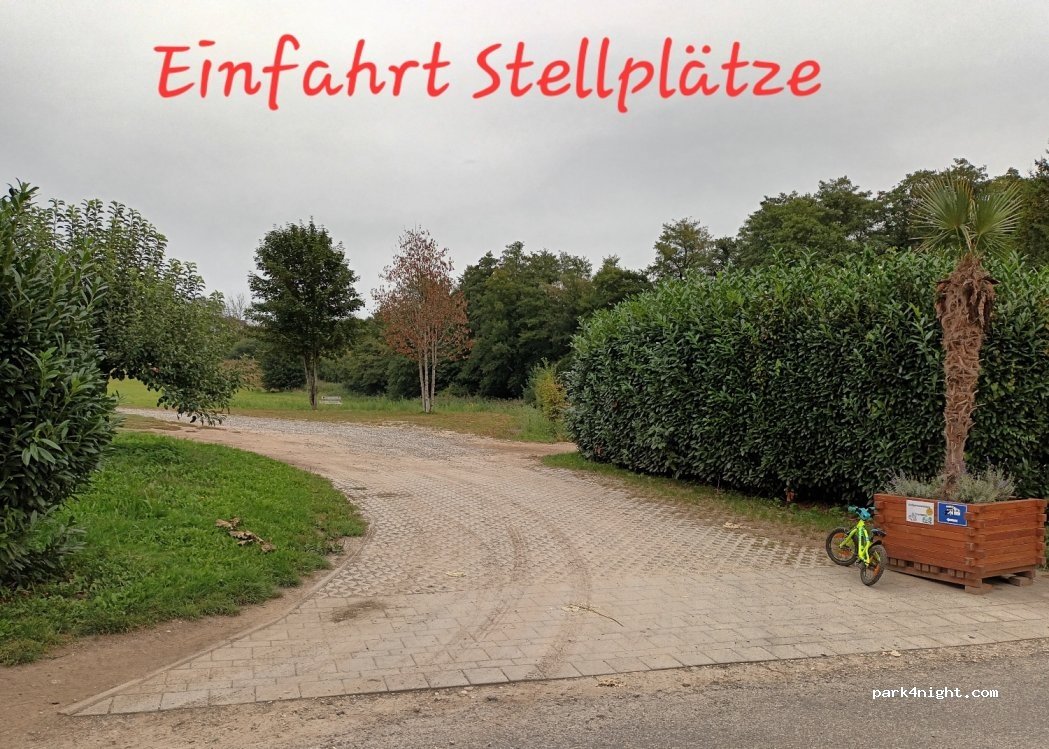 Plätzchen im Grünen — foto