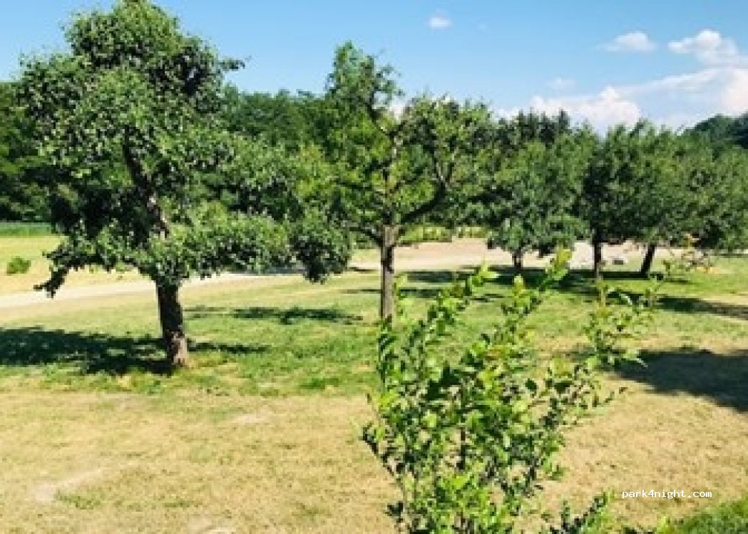 Plätzchen im Grünen — foto 2