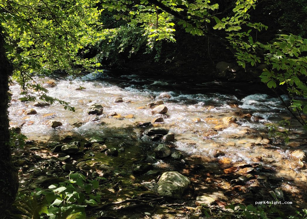 (31110) Cazaux-Layrisse - D 125D — foto 2