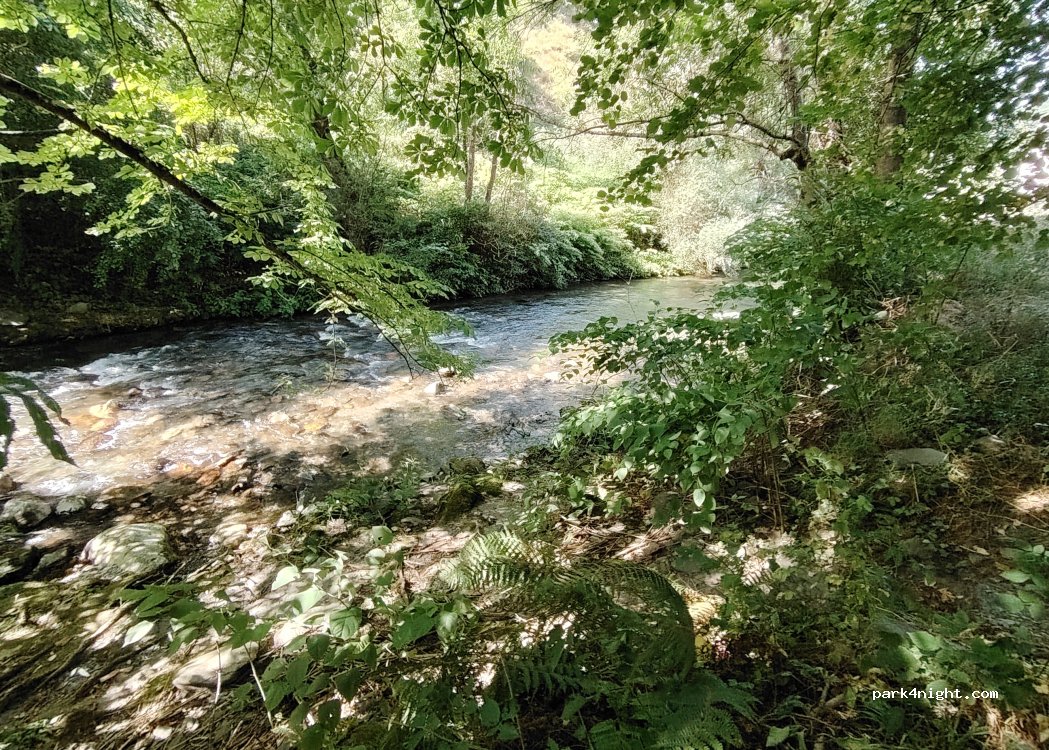(31110) Cazaux-Layrisse - D 125D — foto 3