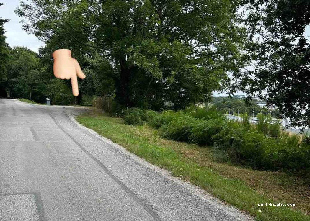 (29000) Quimper - Chemin du Leurriou — foto 5