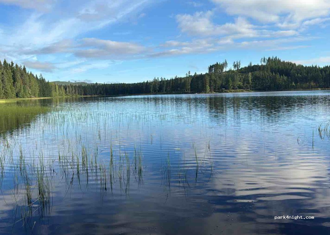(786 93) Nås - — foto 2