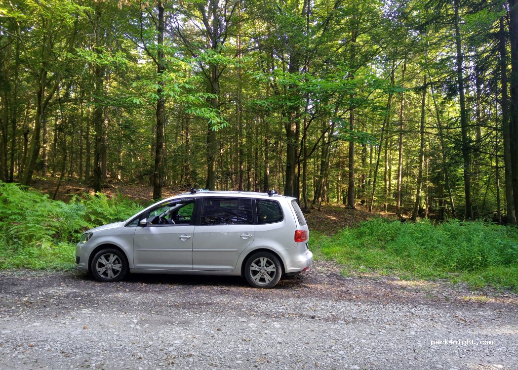 (4203) Spodnje Duplje - Unnamed Road — foto