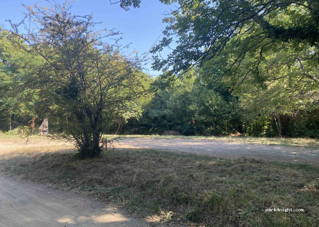 (16039) Sestri Levante - Salita alla Selva — foto