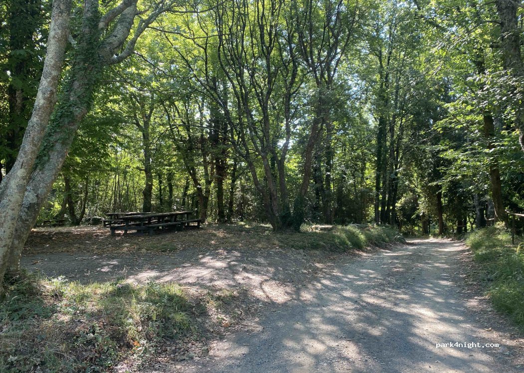 (16039) Sestri Levante - Salita alla Selva — foto 2