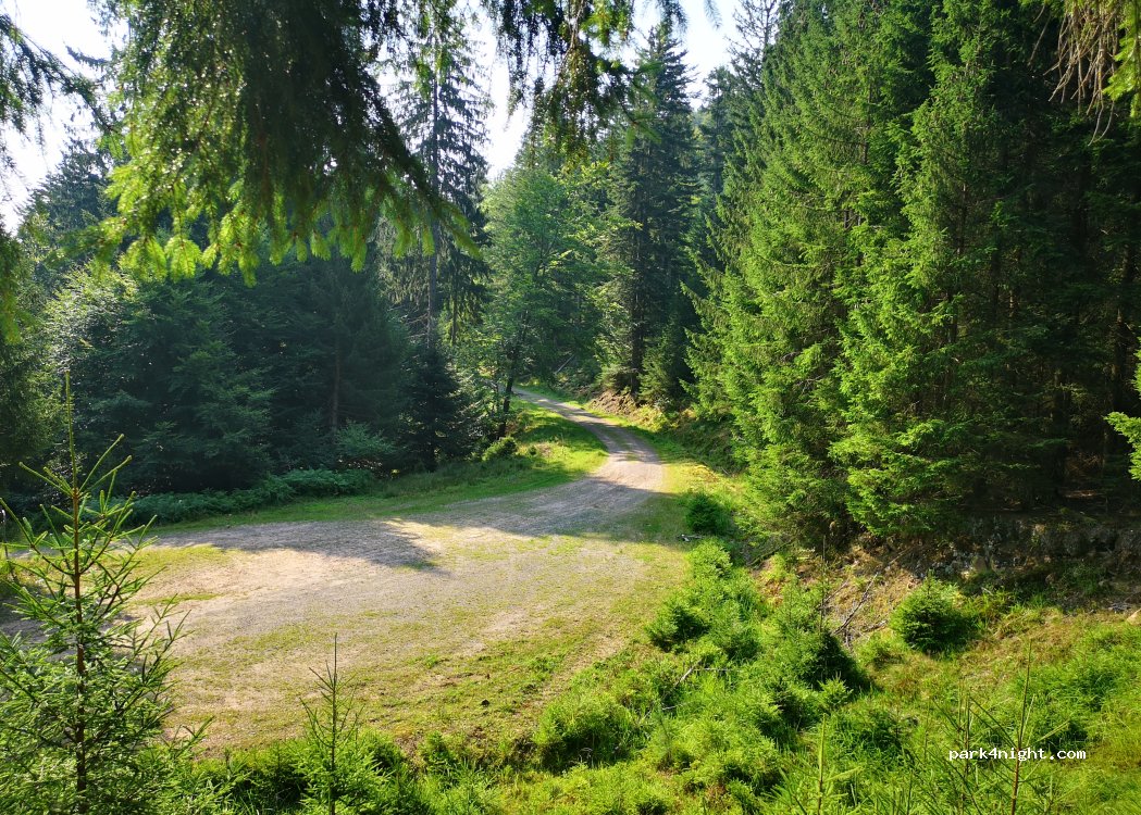 (67130) Wisches - Chemin de la Grande Basse — foto