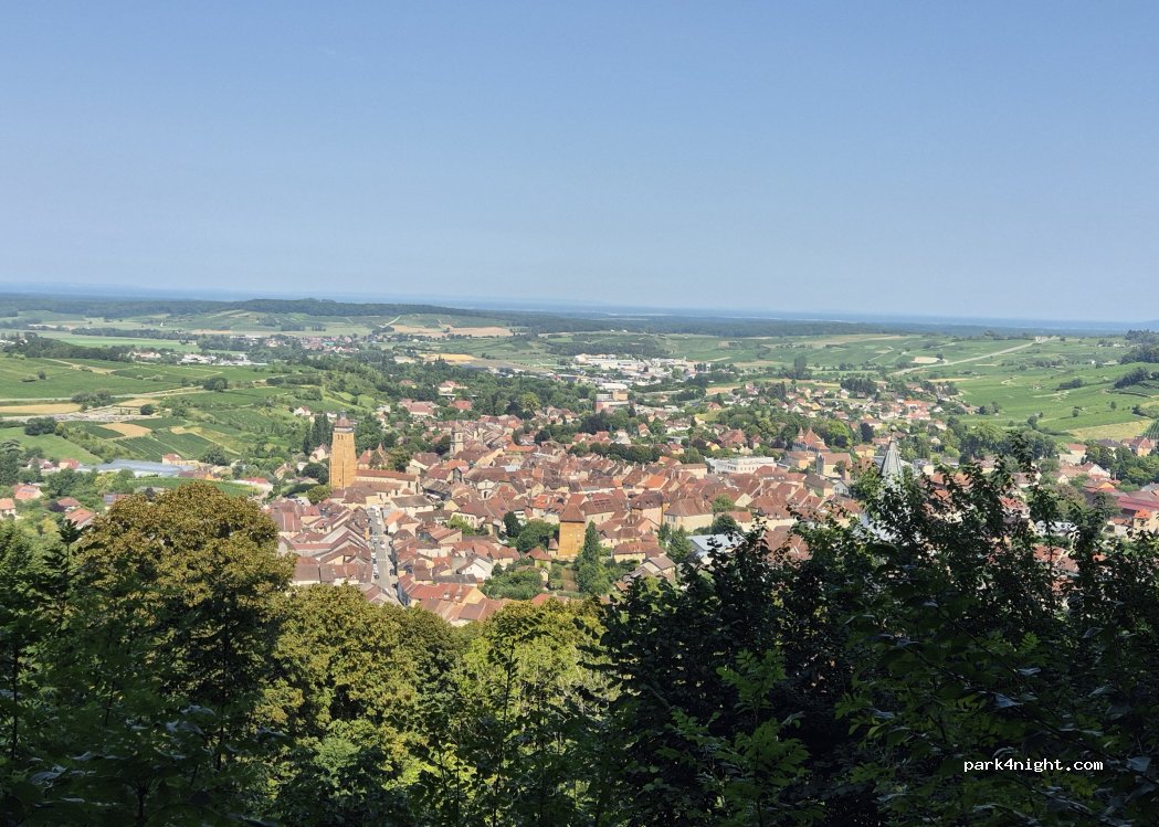 (39600) Arbois - Chemin des Bêtes — foto 2