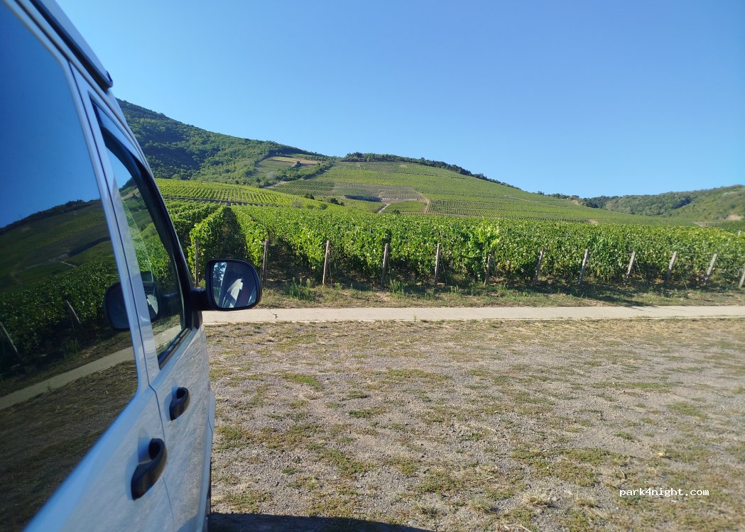 (3910) Tokaj - Unnamed Road — foto 2