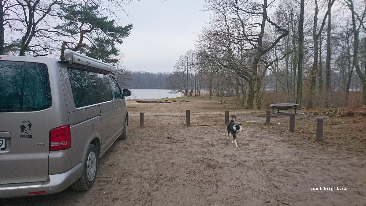 (16515) Oranienburg - 38 Magnus-Hirschfeld-Straße — foto 2