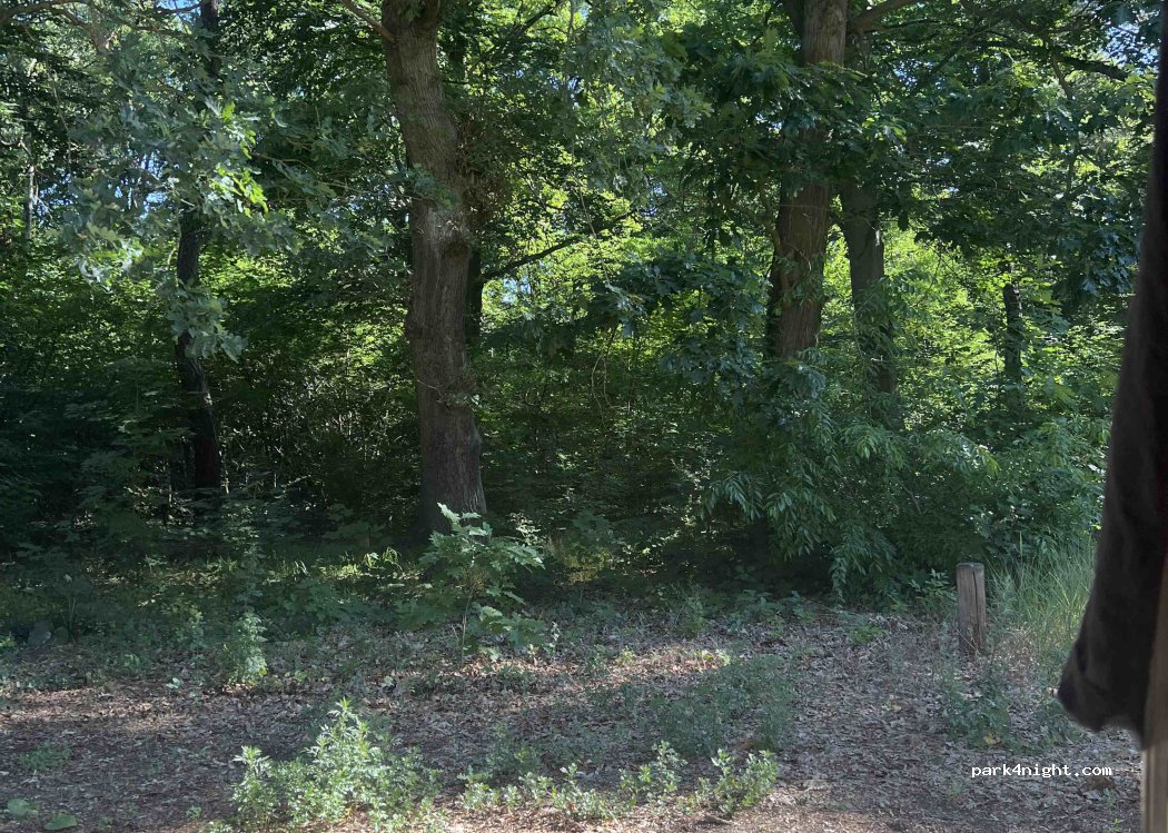 (16515) Oranienburg - 38 Magnus-Hirschfeld-Straße — foto 4
