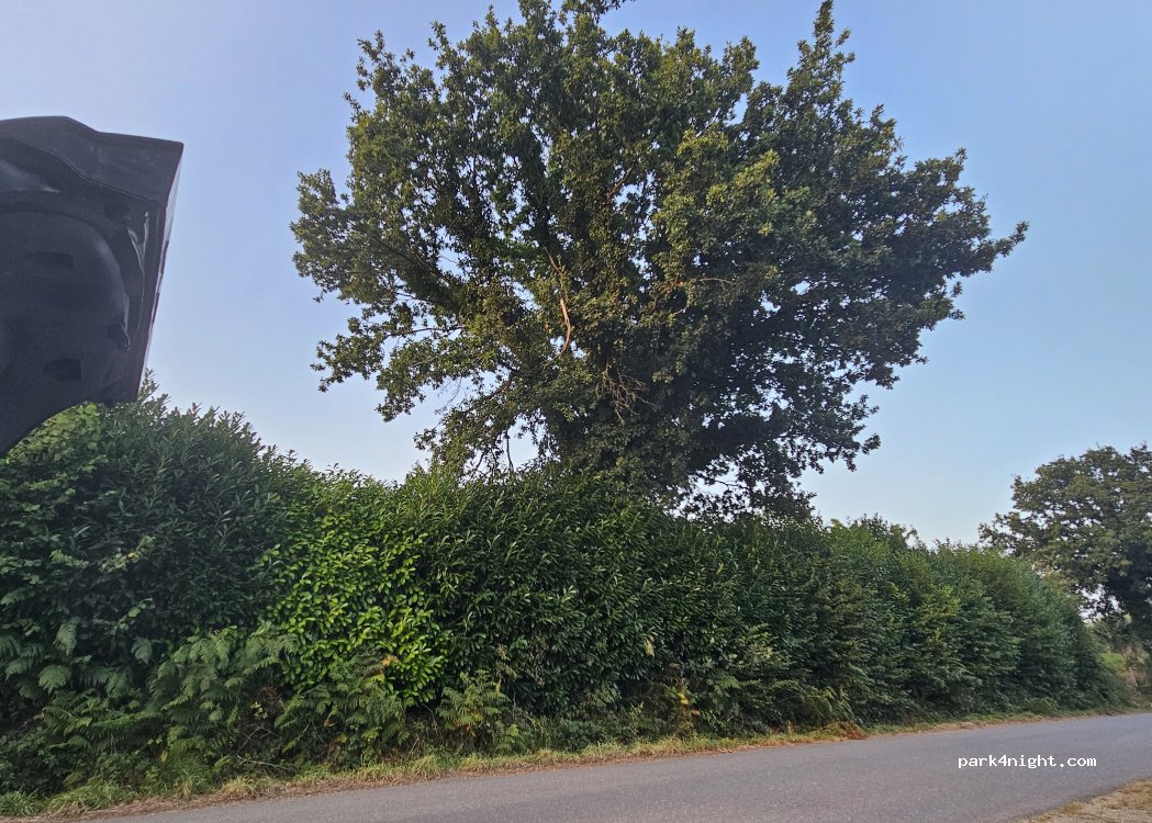 (29190) Brasparts - Ancienne Voie Ferrée de Plouescat à Rosporden — foto 3