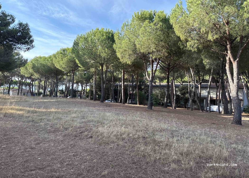 (57012) Rosignano Marittimo - Via Sesia — foto