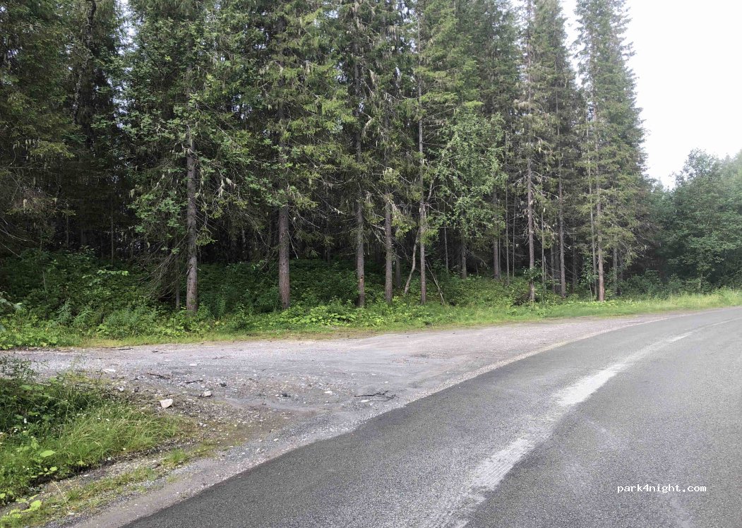 (8630) Storforshei - Ørtfjellveien — foto 2