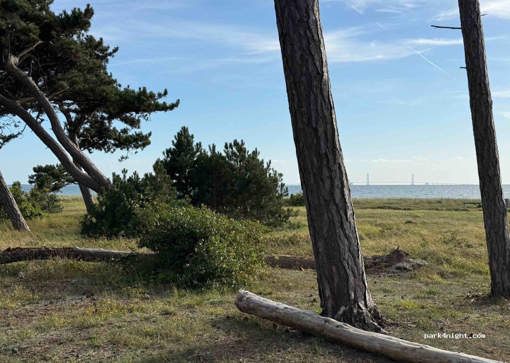 Bildsø Camping — foto 3
