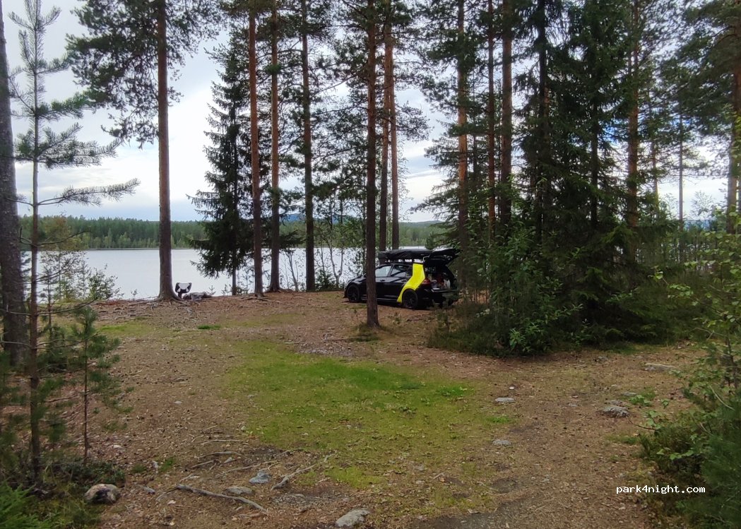 ()  - Haugedalsveien — foto