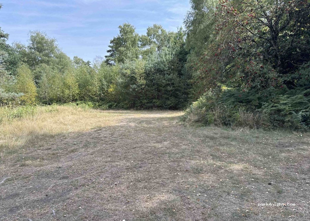 (23460) Royère-de-Vassivière - D 3a2 — foto