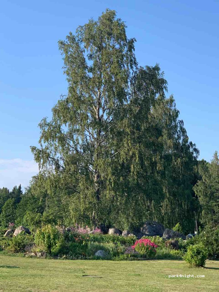 (45405) Lääne-Virumaa - Lahemaa Kohvikann — foto 2