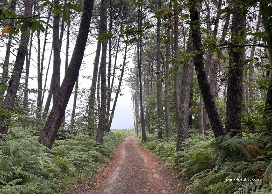 (33155) Cudillero - Carretera Artedo - Soto de Luiña, por Salamir — foto 3