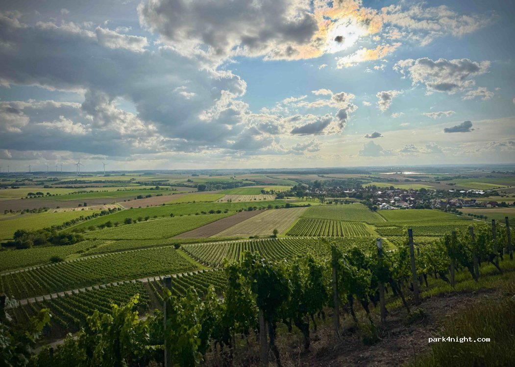 (97258) Ippesheim - — foto 3