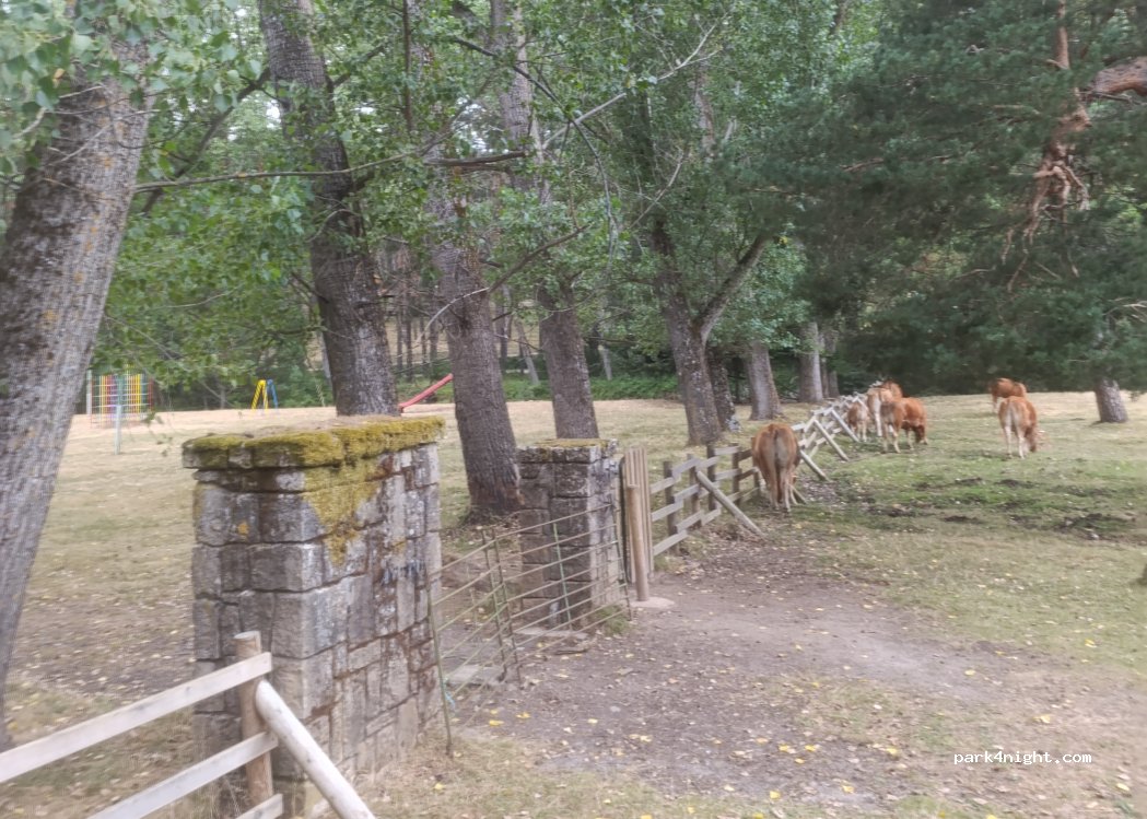 () Covaleda - Carretera de Salas de los Infantes a Abejar — foto