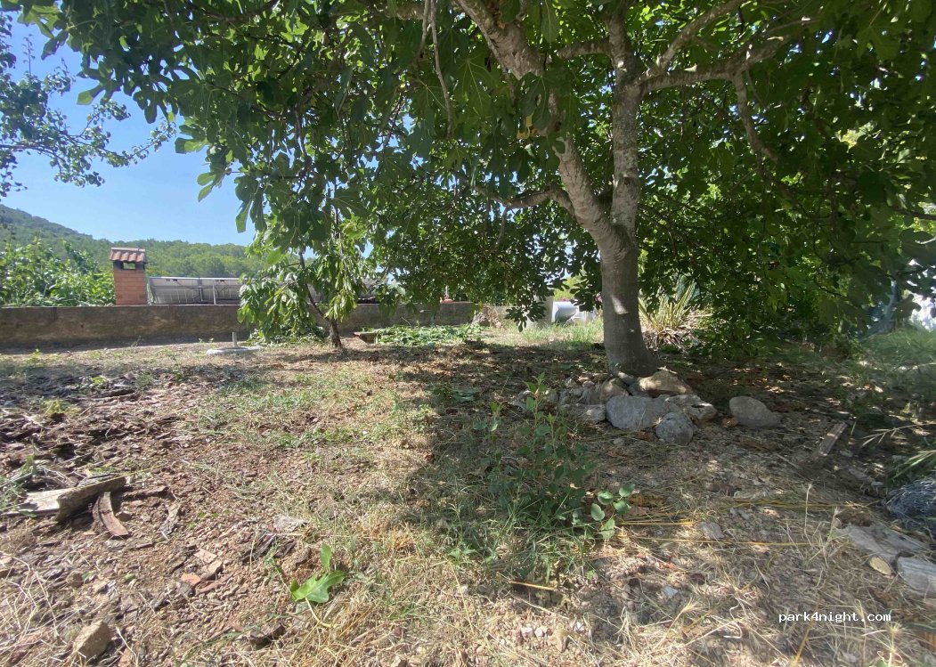 (08810) Sant Pere de Ribes - Carrer de Montpaó — foto 2