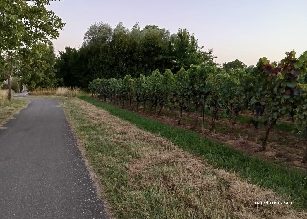 (67435) Neustadt an der Weinstraße - Im Hirschgarten — foto 3