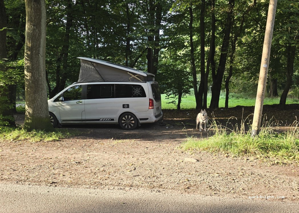 (22885) Barsbüttel - Am Bondenholz — foto