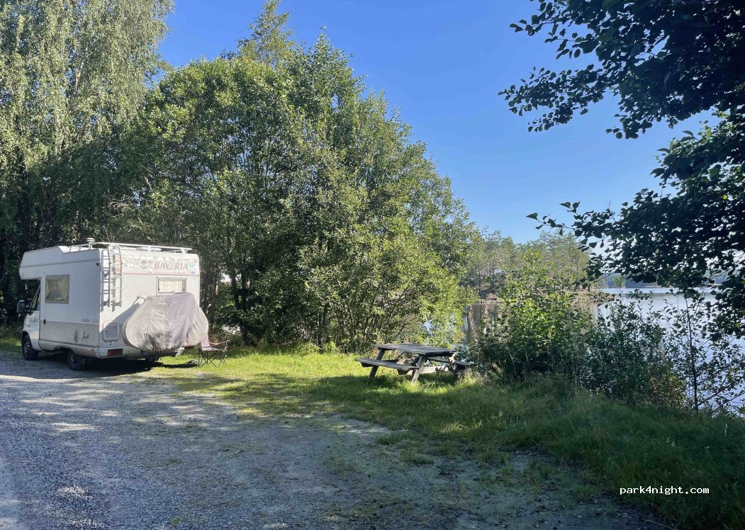 (1954) Setskog - — foto