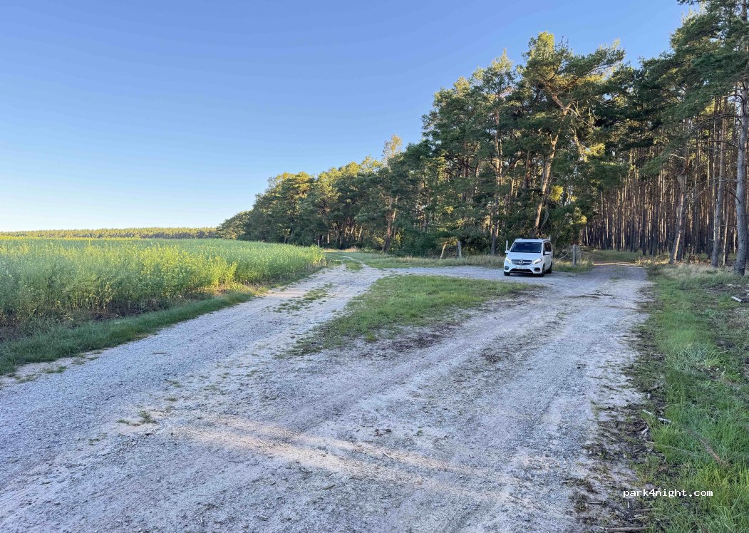 (14806) Groß Briesen - L 941 — foto 3