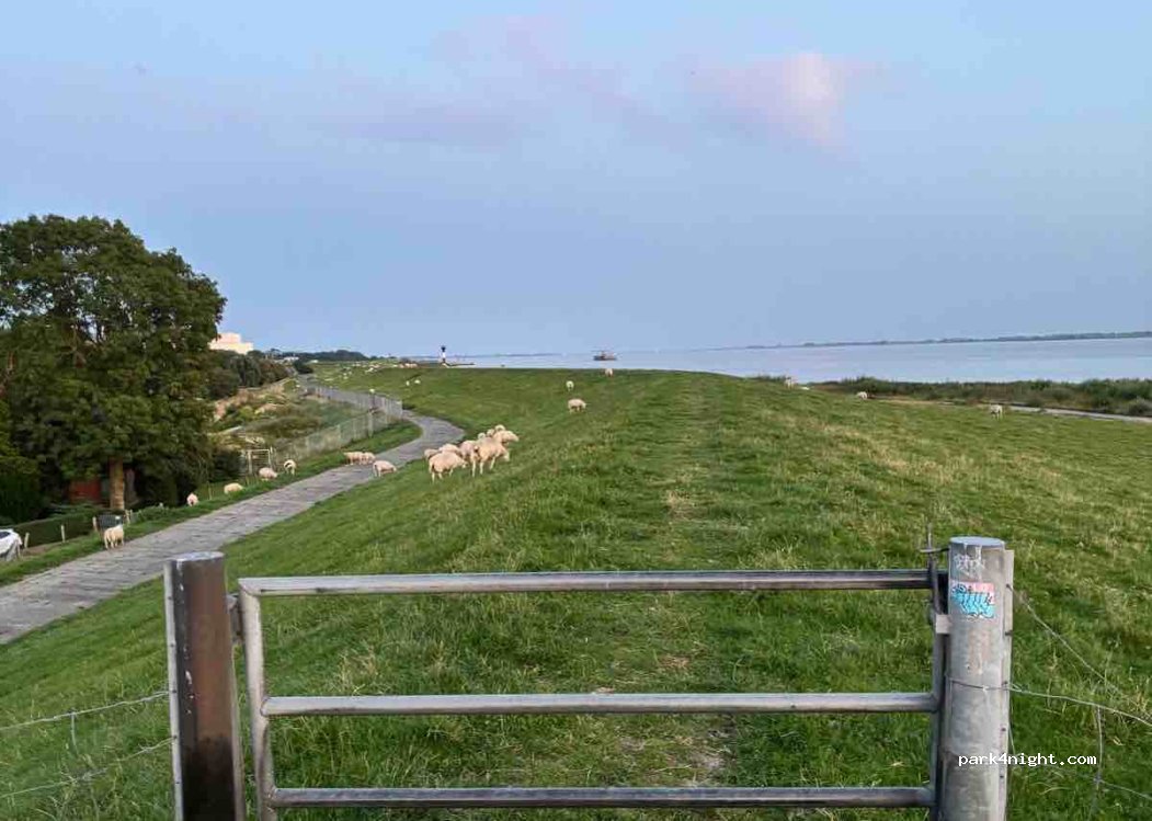 (25576) Brokdorf - Osterende — foto 4