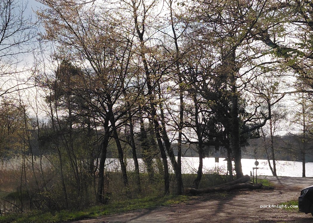 (57815) Languimberg - D 91 — foto 2