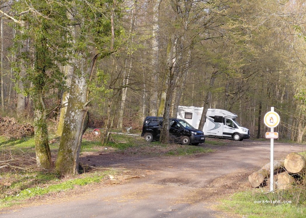 (57815) Languimberg - D 91 — foto 3