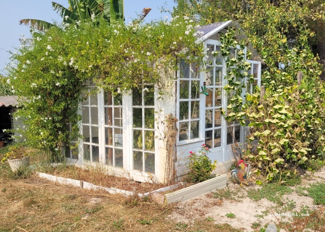 (40320) Urgons - — foto 2