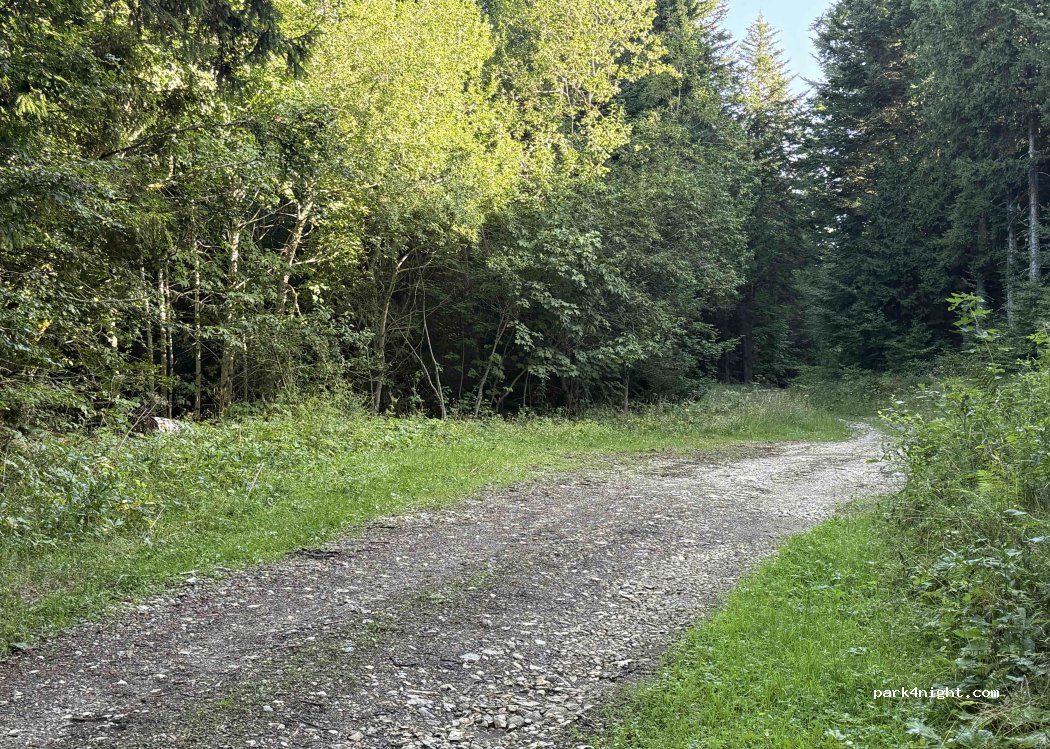 (38380) Saint-Pierre-d'Entremont - Gentiane — foto