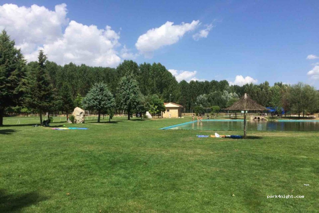 (24271) Llamas de la Ribera - 53 Calle Camping — foto