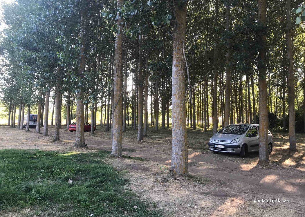 (24271) Llamas de la Ribera - 53 Calle Camping — foto 3