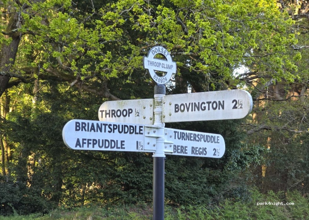 (BH20 7NQ) Bovington - Unnamed Road — foto