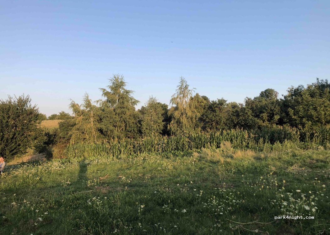 (47411) Snighurivka - — foto