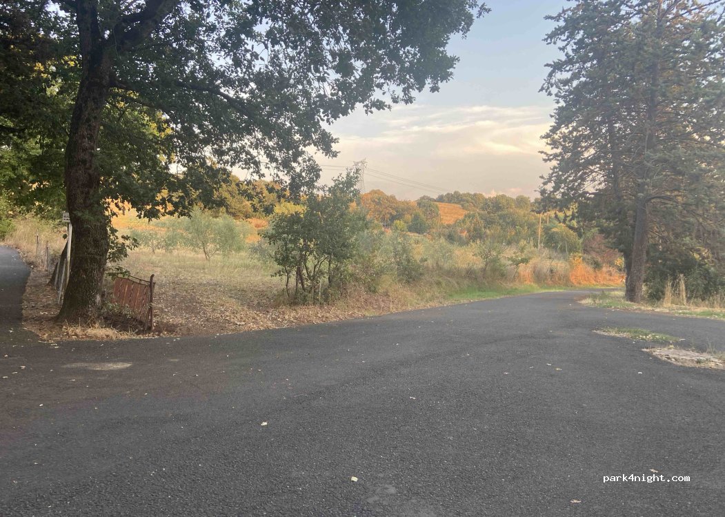 (56040) Monteverdi Marittimo - Strada Provinciale 329 Passo di Bocca di Valle — foto 2