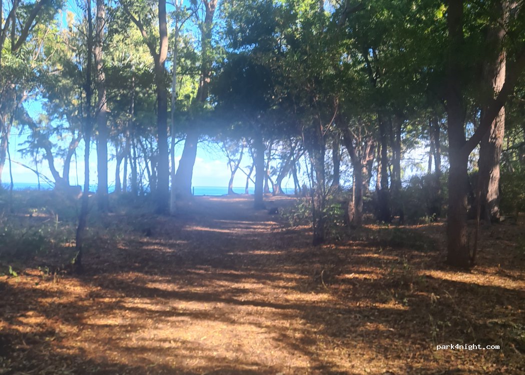 (97862) Saint-Paul - Chemin de la Forêt Sous le Vent — foto