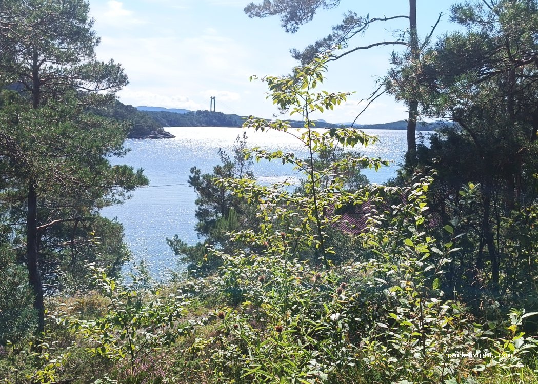 (5410) Sagvåg - Sætravikvegen — foto 2