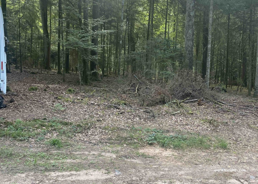 (54540) Badonviller - — foto 3