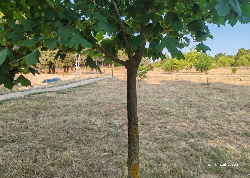 Zona de acampada El Remedio — foto