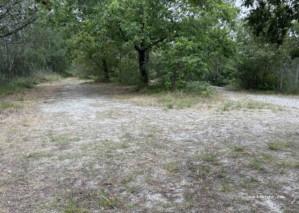 (40600) Biscarrosse - Rue Marcel Moine — foto