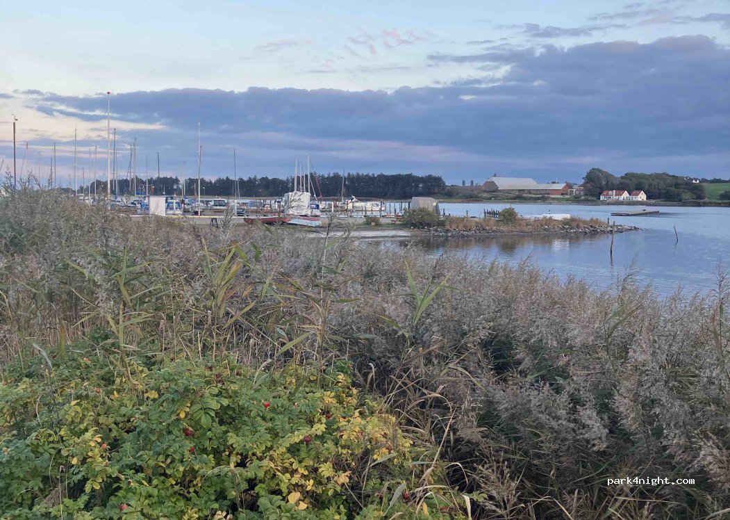 Doverodde Havn — foto 5