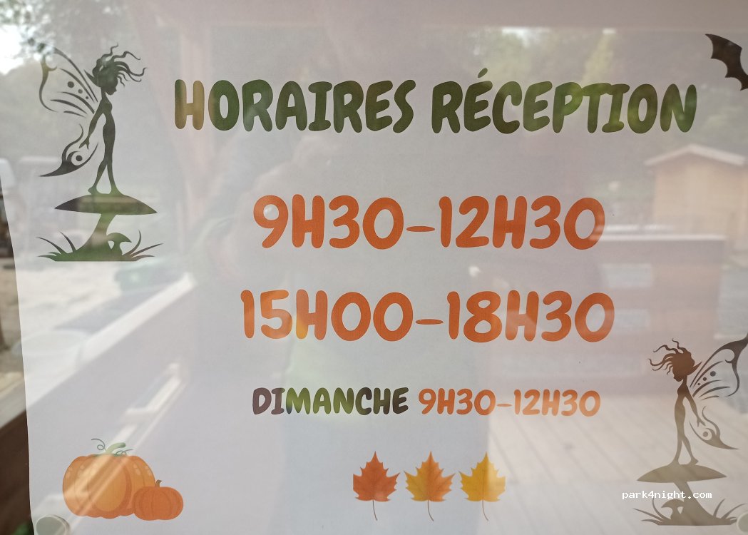 Le bois des elfes — foto 3