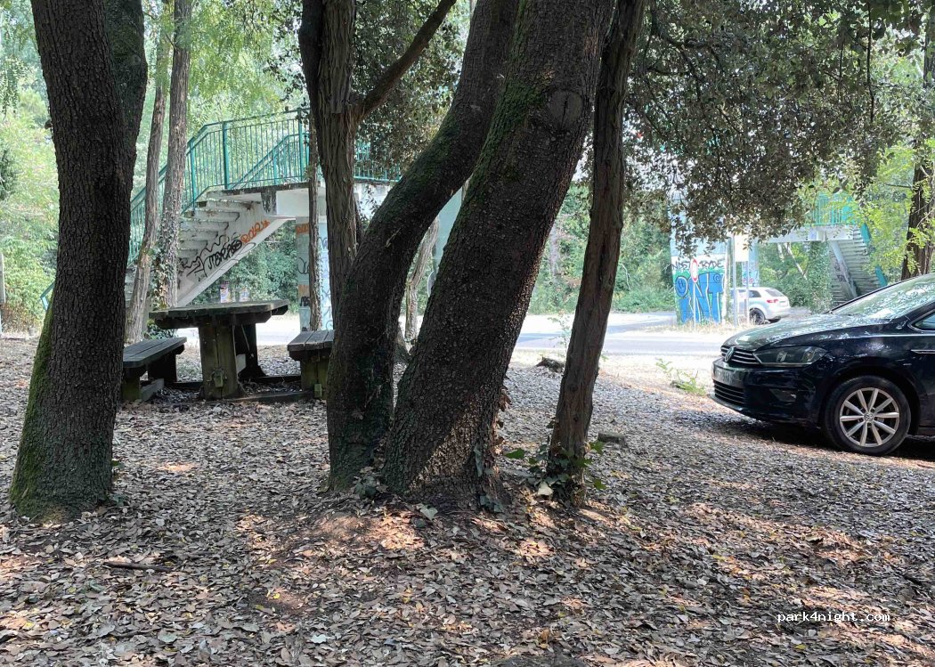 (85560) Longeville-sur-Mer - D 105 — foto