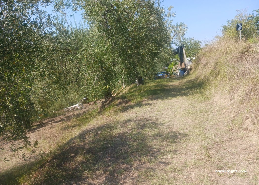 (62010) Montecassiano - Via Giacomo Matteotti — foto