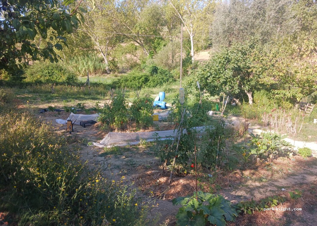 (62010) Montecassiano - Via Giacomo Matteotti — foto 2