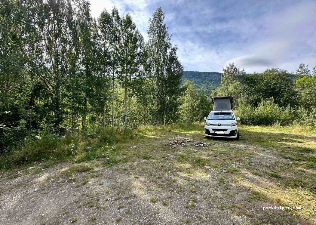 (3540) Nesbyen - Rudvegen — foto